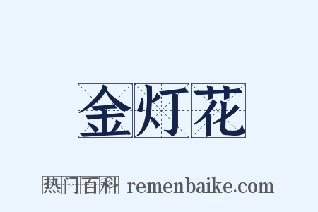 金灯花是什么意思的图片